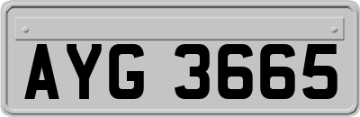AYG3665