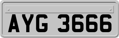 AYG3666