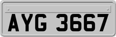 AYG3667