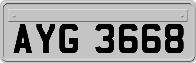 AYG3668