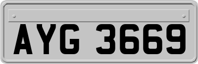 AYG3669