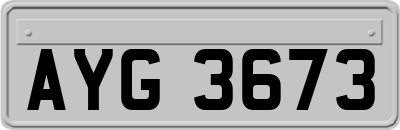 AYG3673