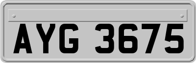 AYG3675