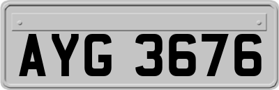 AYG3676