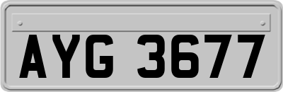 AYG3677