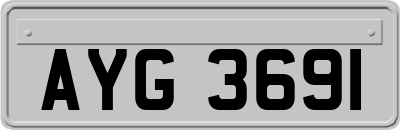 AYG3691