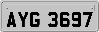AYG3697