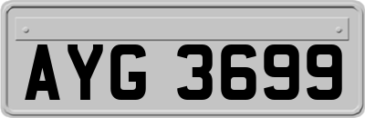 AYG3699