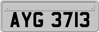 AYG3713