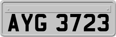 AYG3723