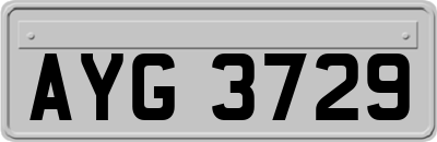 AYG3729