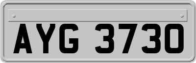 AYG3730
