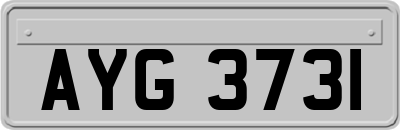 AYG3731