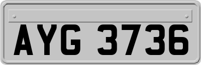 AYG3736