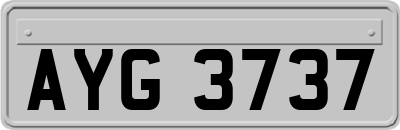 AYG3737