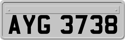 AYG3738