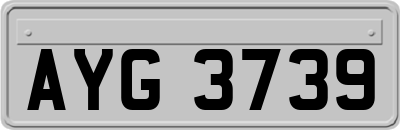 AYG3739