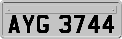 AYG3744