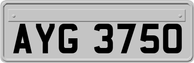 AYG3750