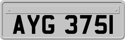 AYG3751