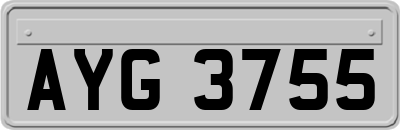 AYG3755