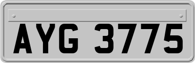 AYG3775