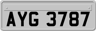 AYG3787