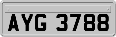 AYG3788