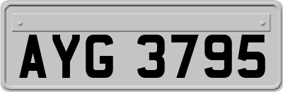 AYG3795