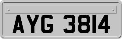 AYG3814
