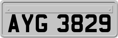 AYG3829