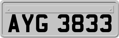 AYG3833