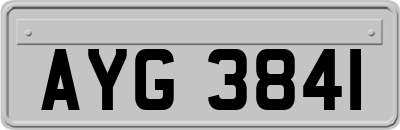 AYG3841