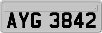 AYG3842