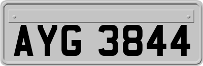 AYG3844