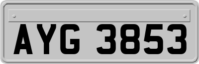 AYG3853