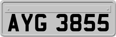AYG3855