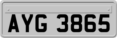 AYG3865