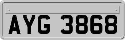 AYG3868