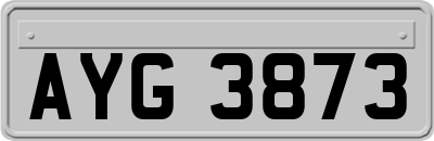AYG3873