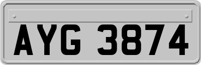 AYG3874