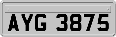 AYG3875