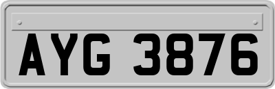 AYG3876