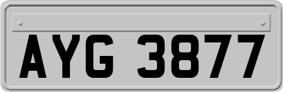 AYG3877