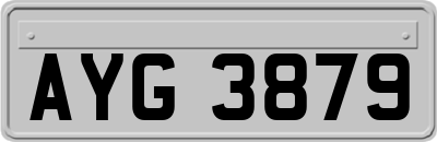 AYG3879