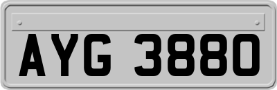 AYG3880
