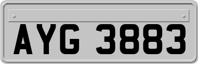 AYG3883