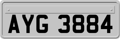 AYG3884