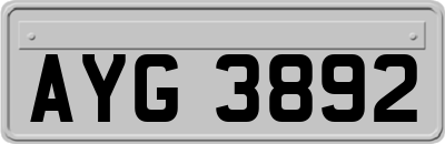 AYG3892