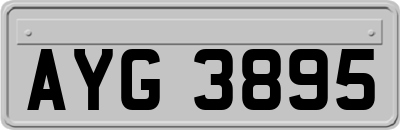 AYG3895